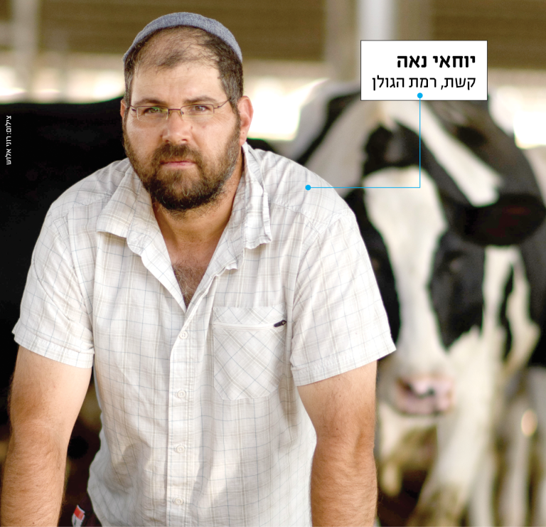 תמונה נאה