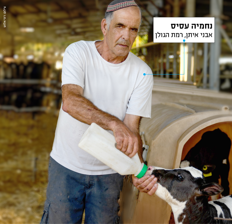 תמונה עסיס