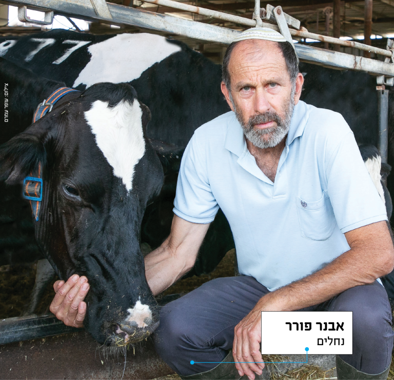 תמונה פורר