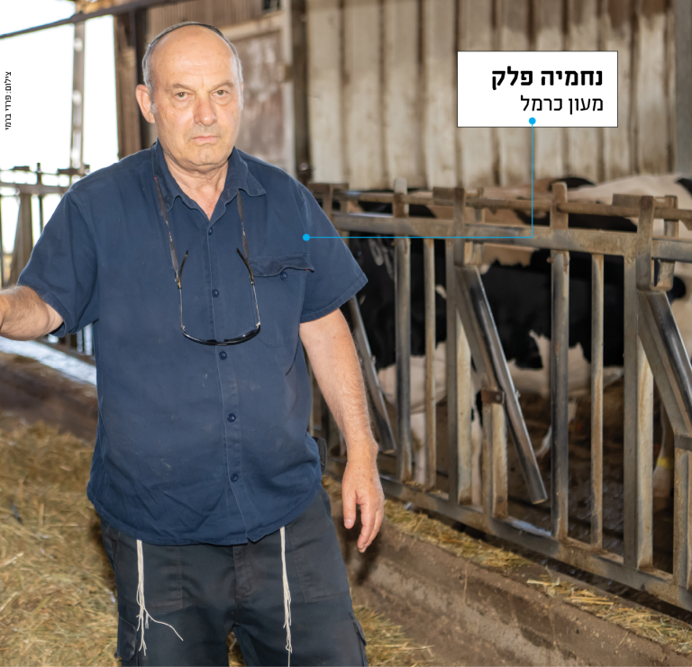 תמונה פלק