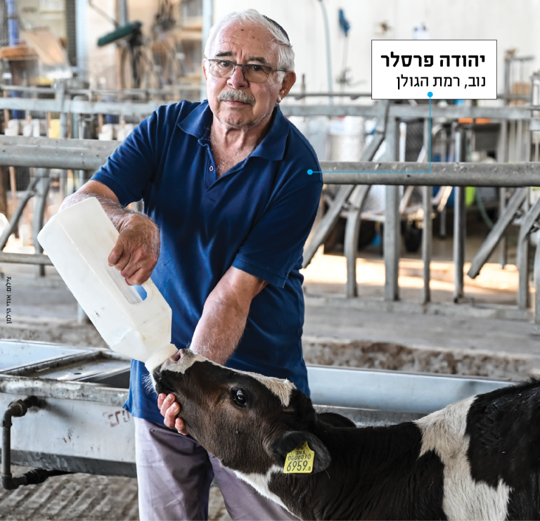 תמונה פרסלר